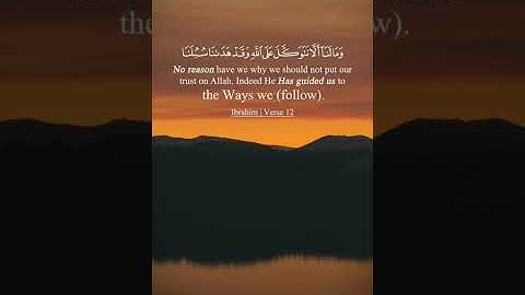 قران كريم بصوت جميل😍 ﴿وَمَا لَنَا أَلَّا نَتَوَكَّلَ عَلَى اللَّهِ وَقَدْ هَدَانَا سُبُلَنَا#funny