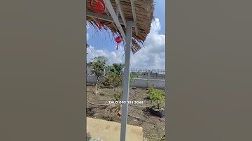 Bán nhà vườn xã Mỹ Lộc Cần Giuộc Long AnTặng lại nội thất cây kiểng Zalo 0933552065