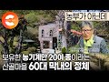 이 마을에서는 60대가 제일 막내입니다. 7~80대 형님 누나들이 부르면 어디든 달려가는 산골마을의 일꾼! 오지마을 60대 막내의 이중생활👨🏼‍🌾ㅣ#한국기행