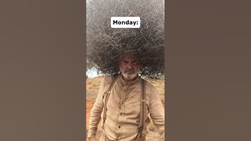 “CUTE & EASY” Hairstyles⁉️😭 (ib: @Inafish01) #funny #school #hairstyle #shorts #fypシ゚viral #haha