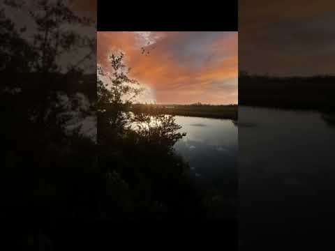 تسبح لك الأرض بما حوت ابتهالات الشيخ نصر الدين طوبار