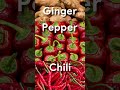 Spice Up Your Health: The Colorful Secret to Clean Arteries! 🌶️ #SpiceHealth #SpiceBenefits