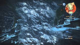 Witcher 3 cliff diving