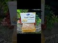 خميرة البيرة لتسمين الوجه وتبييضه ونفخ الخدود للنساء والرجال العراق بغداد ديالى تبيض الوجه خميرة البيرة لتسمين الوجه وتبييضه ونفخ الخدود للنساء والرجال العراق بغداد ديالى تبيض الوجه