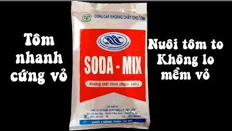 Khoáng Soda-Mix chuyên gia giúp tôm nhanh cứng vỏ, không bị mềm vỏ-rớt đáy |NGHỀ TÔM TV|
