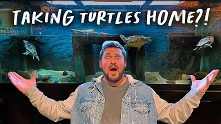 WE TOOK REPTILES FROM THIS AQUARIUM!