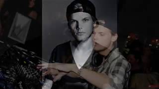 Goodbye Avicii