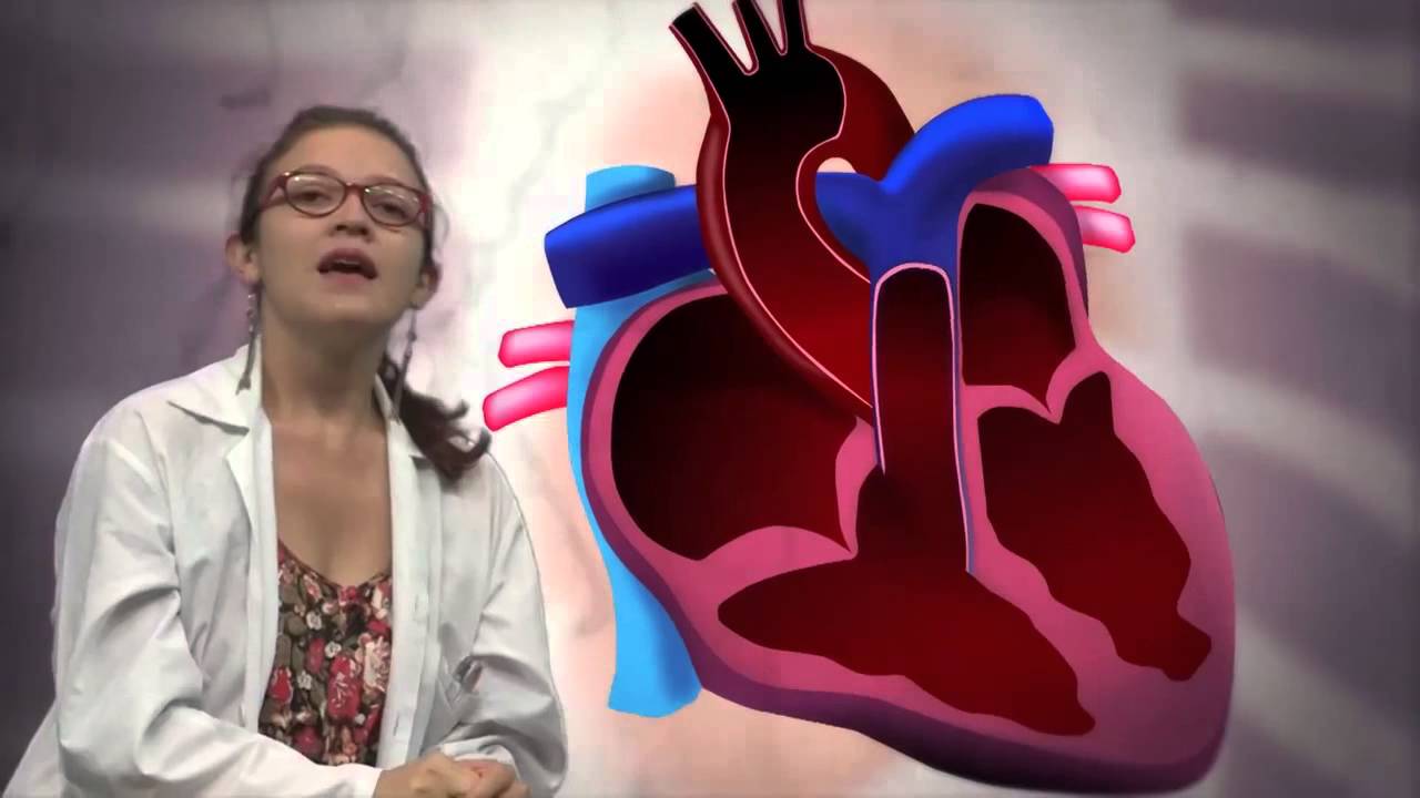 Ataque al corazón univalle carreras