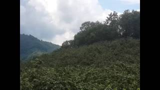 Giresun Dağları Resimi