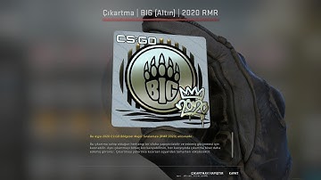 2020 RMR CS:GO Sticker Capsule Opening (2 GOLDS)