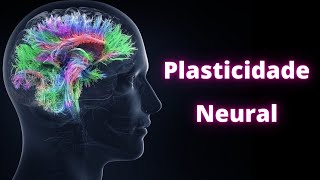 Neuroplasticidade – Fisiologia Humana