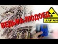 ЯПОНСКАЯ ВЕДЬМА И РАДИАЦИЯ в ФУКУСИМА