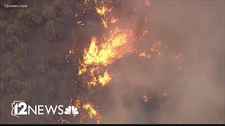 Forecast calls for above-average wildfire season in Arizona