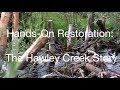 Hands-On Restoration: The Hawley Creek Story