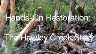 HandsOn Restoration: The Hawley Creek Story