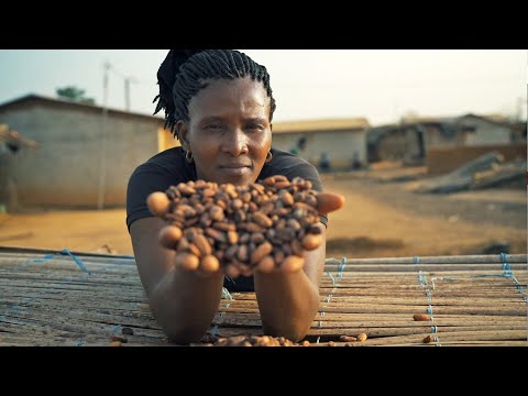 Make The World a Better Place - Fairtrade und die Globalen Nachhaltigkeitsziele (OmU)