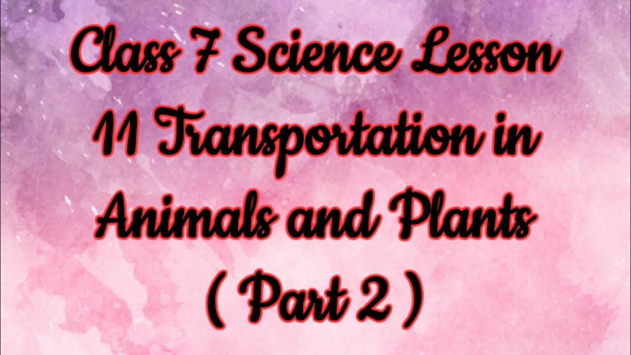 Class 7 Science Lesson 11 Transportation in Animals and Plants ( Part 2 ...