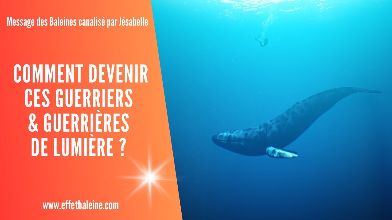 COMMENT DEVENIR CES GUERRIERS & GUERRIÈRES DE LUMIÈRE ? - Message d