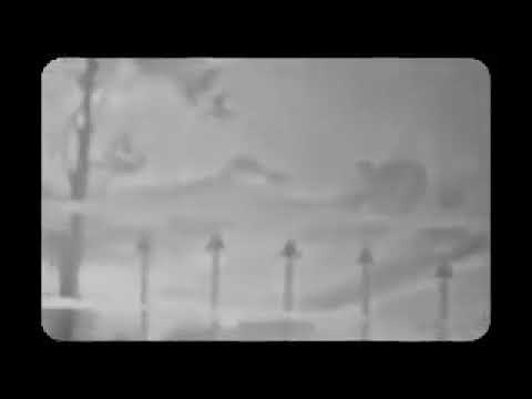 بنسى الدنيا وما فيها إلا لبنان الغالي نوادر نصري شمس الدين