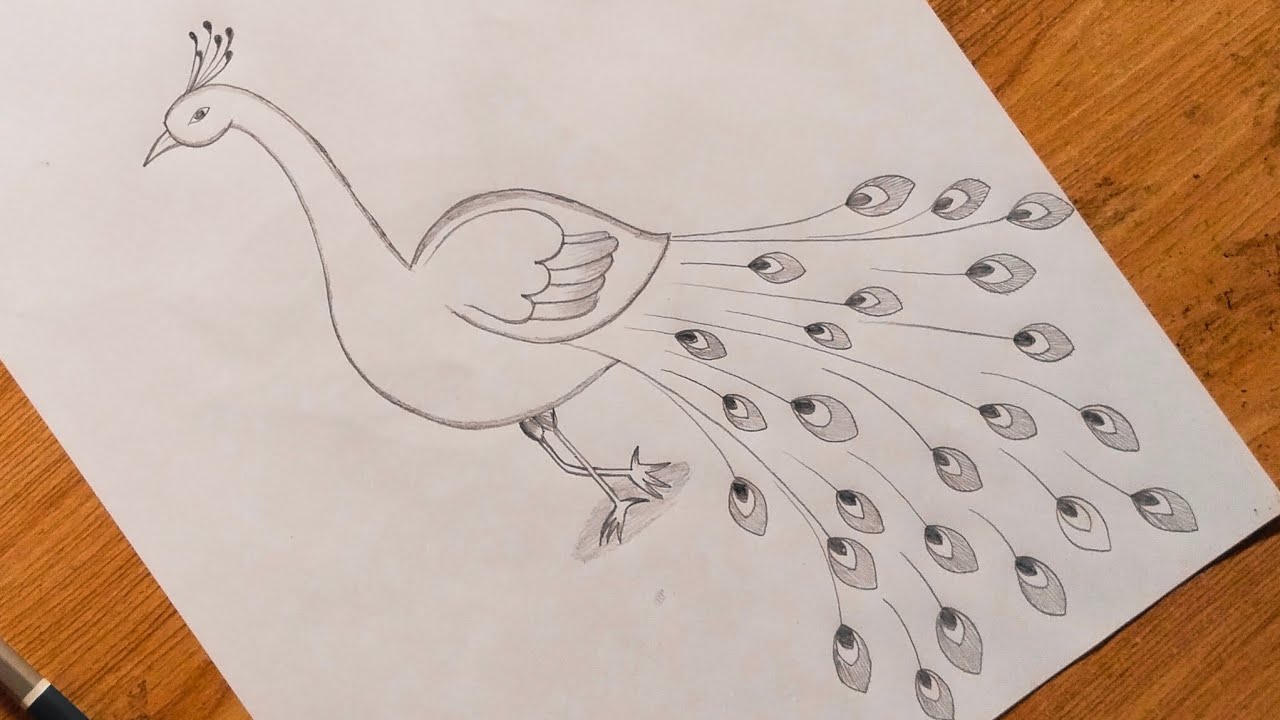 Learn how  to draw a peacock drawing | Very easy 
