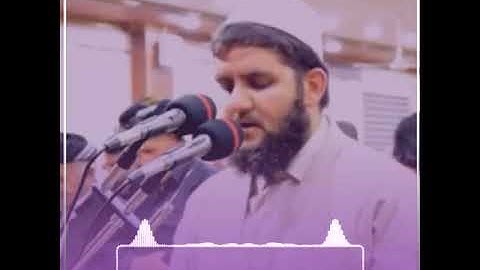تلاوه هادئة من سورة الفاتحه للقارئ دلشاد احمد - مقاطع واتس اب دینیه.