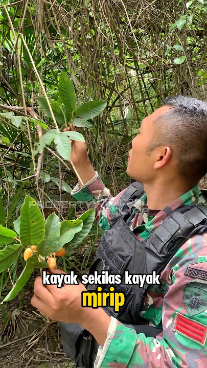 Ketemu buah langka di hutan