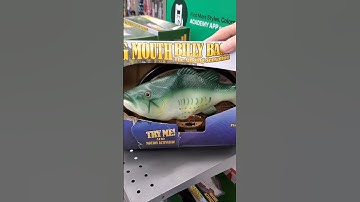 Big Mouth Billy Bass the singing fish #short #amazing #satisfying #toys