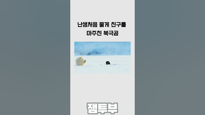 난생 처음 물게친구를 마주친 북극곰