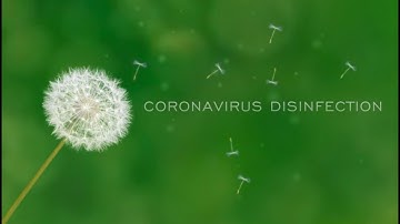 Coronavirus Disinfection Rochester NY | Fogging Methods | COVID-19