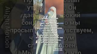 #АЛЛАХ#АКТИВ#МУСУЛЬМАНИ