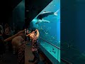 【検証】はんまーBBAと水族館ﾃﾞ-ﾄに行ってしまった結果...