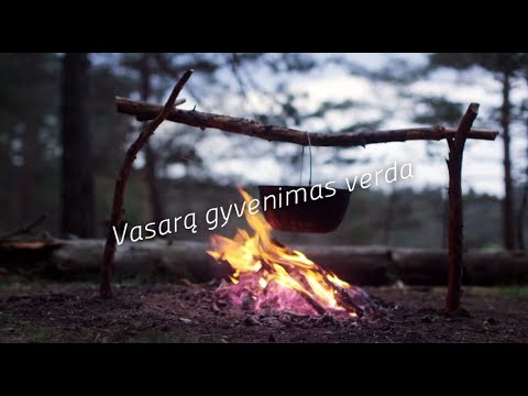 Video: Kivanas - Nauda, žala Ir Kaip Jis Valgomas