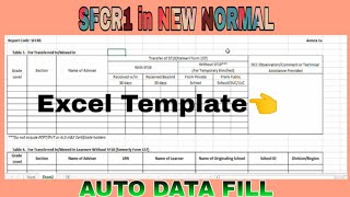 SFCR1 in the NEW NORMAL EXCEL TEMPLATE [AUTO DATA FILL SOFT COPY] screenshot 3