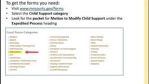 Chapter 1: Motion to Modify Child Support - Introduction