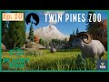 Immersive Gorilla &amp; Dall Sheep Exhibits! (Ep. 10) | Twin Pines Zoo | Planet Zoo