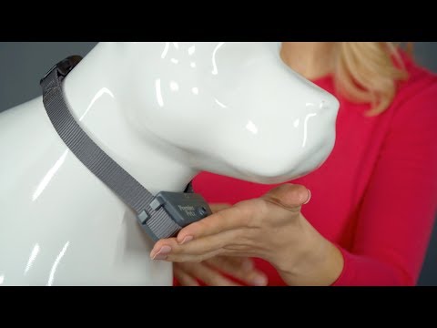 How to Fit