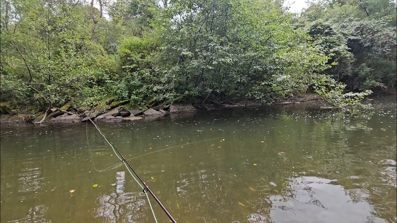 Fly fishing for big holdover trout! [EP 5]