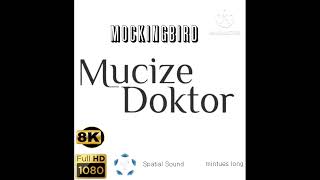 Mockingbird - Aytekin Ataş - 2019 - 6 Dakika