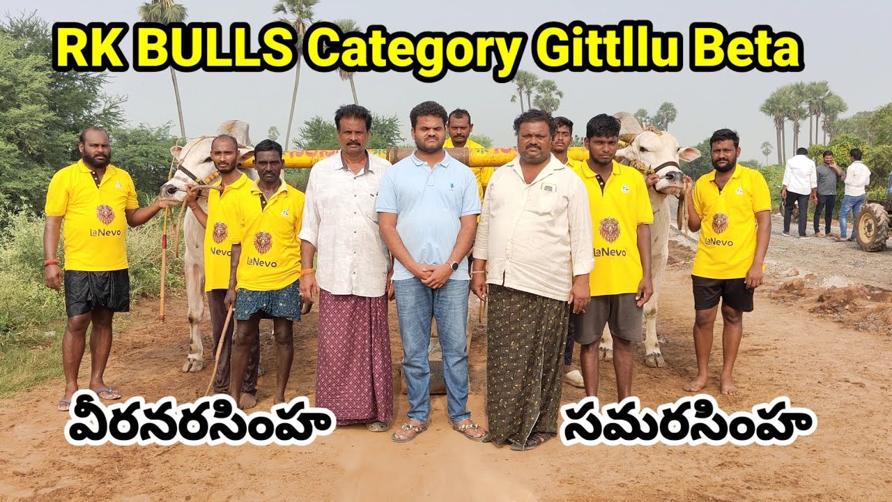 RK BULLS Category (ViraNarasimha💥SamaraSimha) Gittllu Beta