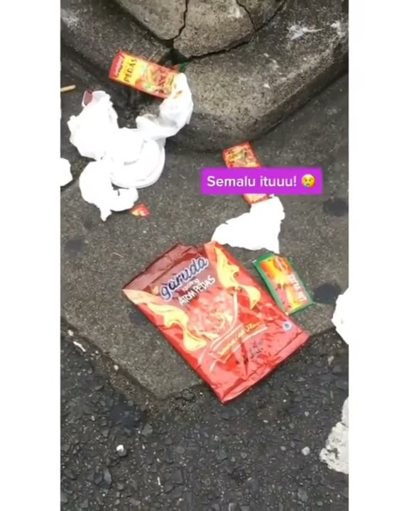Orang indonesia buang sampah sembarangan di jepang ?