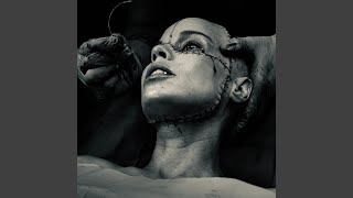 REANIMATED - Die Antwoord