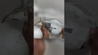 amazing idea unique Creation From Cement