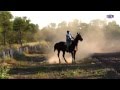 vidas dedicadas a los caballos de carrera - NTCC Noticias