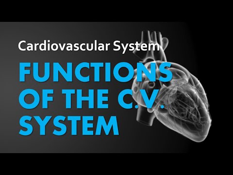 Functions of the