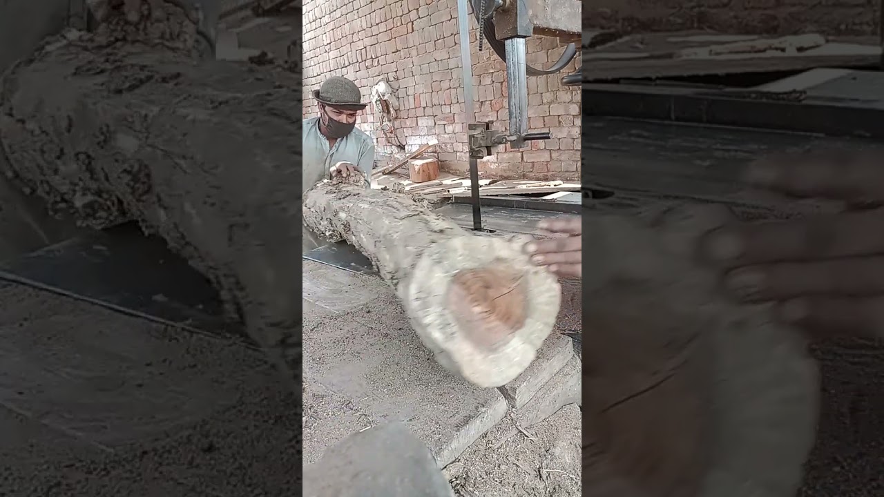 Wod Cutting#Dangerous Bandsaw  🌳🪚Pure Machine Power from Pakistan 🇵🇰Like • Share • Follow for more!