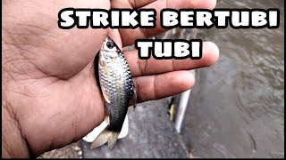 MANCING WADER STRIKE BERTUBI TUBI !!