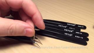 :   VETUS   