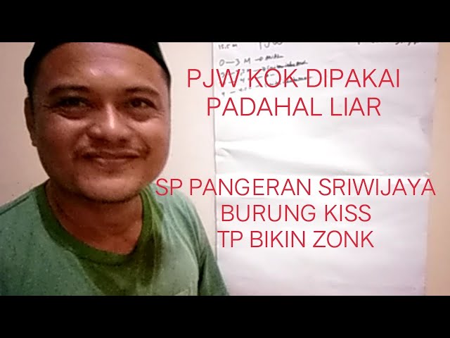 SP PJW LIAR KOK MASIH DI PAKAI,SP PANGERAN SRIWIJAYA BURUNG KISS TP BIKIN GEDUNG ZONK class=
