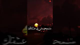 مانيني__#fypシ #الشاشة_السوداء #viral #الشاشة #تصميم