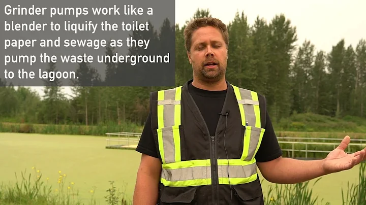 What Happens When You Flush The Toilet? | Exploring Violet Grove Lagoon